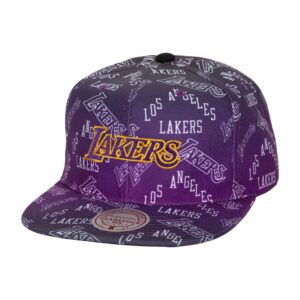 Mitchell & Ness Destination Leisure Deadstock HWC Los Angeles Lakers Hat Violet 749683