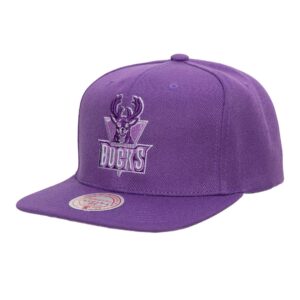 Mitchell & Ness Monochromatic Snapback HWC Milwaukee Bucks Hat Violet 756268