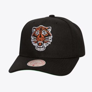 Mitchell & Ness Black Detroit Tigers Neon Logo Pro Crown Snapback Hat Black 772154