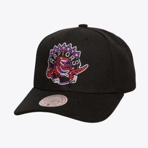 Mitchell & Ness Black Toronto Raptors Hardwood Classics Neon Logo Pro Crown Snapback Hat Cream 771909