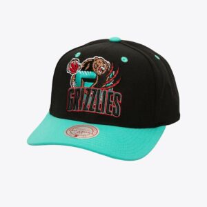 Mitchell & Ness Black Vancouver Grizzlies Hardwood Classics All In 2.0 Pro Crown Snapback Hat Black 772022