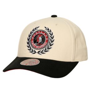 Mitchell & Ness Collegiate Pro Snapback HWC Portland Trail Blazers Cap Beige 770807