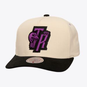 Mitchell & Ness Cream Toronto Raptors Hardwood Classics Overspray Pro Crown Snapback Hat Cream 771993