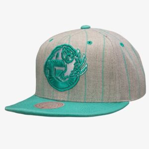 Baseball Cap Mitchell & Ness Gray Vancouver Grizzlies Hardwood Classics Pin Pop Snapback Hat Cream 772015