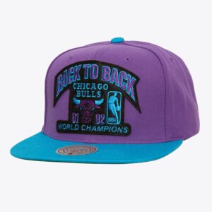 Mitchell & Ness Purple Chicago Bulls 1991-92 NBA Finals Champions Flipside Snapback Hat Violet 772187