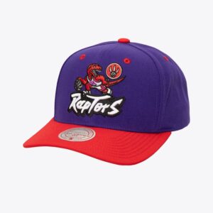 Mitchell & Ness Purple Toronto Raptors Hardwood Classics All In 2.0 Pro Crown Snapback Hat Violet 771963