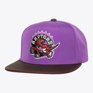 Mitchell & Ness Purple Toronto Raptors Hardwood Classics Heat Up Snapback Hat Violet 771400