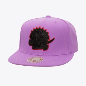 Mitchell & Ness Purple Toronto Raptors Hardwood Classics Logo Eclipse OG Snapback Hat Violet 771414