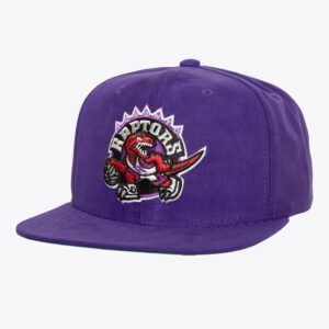 Mitchell & Ness Purple Toronto Raptors Hardwood Classics Sweet Suede Snapback Hat Violet 771970