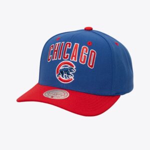 Mitchell & Ness Royal Chicago Cubs All In 2.0 Pro Crown Snapback Hat Blue 772162