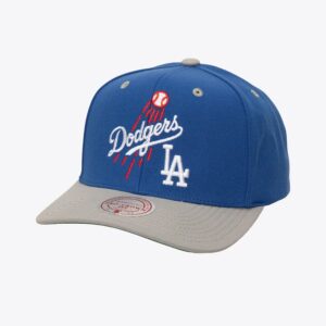 Mitchell & Ness Royal Los Angeles Dodgers All In 2.0 Pro Crown Snapback Hat Blue 772145