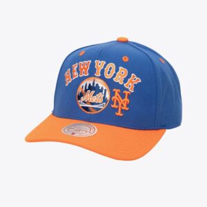 Mitchell & Ness Royal New York Mets All In 2.0 Pro Crown Snapback Hat Grey 772380