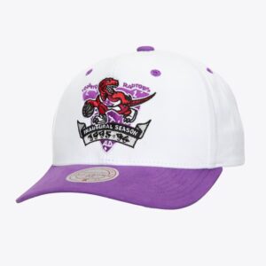 Mitchell & Ness White Toronto Raptors Hardwood Classics Flipped Pro Snapback Hat White 771986