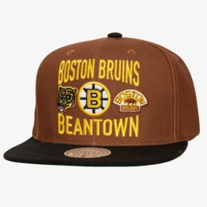 Mitchell & Ness Brown Boston Bruins City Love Vintage Snapback Hat White 1070832