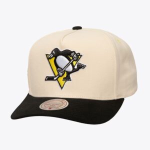 Mitchell & Ness Cream Pittsburgh Penguins Overspray Pro Crown Snapback Hat Cream 1193152