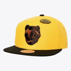 Mitchell & Ness Gold Boston Bruins 90th Anniversary Snapback Hat Yellow 1071088