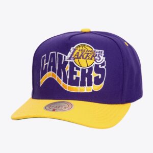 Mitchell & Ness Purple Los Angeles Lakers Wavy Pro Crown Snapback Hat Violet 928593