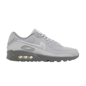 Nike Air Max 90 'Wolf Grey' Wolf Grey/Cool Grey/White FJ4218 002