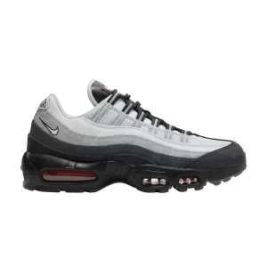 Nike Air Max 95 'Koi' Black/Pure Platinum/Light Smoke Grey/White DQ3979 001