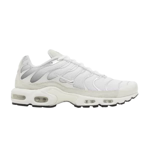 Nike Air Max Plus 'Pure Platinum' Sneakers Pure Platinum/Sail/Wolf Gray/Metallic Silver FN7813 001