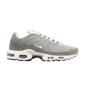 Nike Air Max Plus SE 'Flat Pewter' Flat Pewter/Photon Dust/Black/White DV7665 002