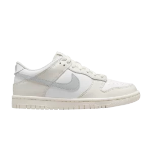 Nike Dunk Low GS 'Phantom Light Silver' White/Ghost/Light Silver FB9109 109