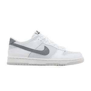 Nike Dunk Low GS 'Reflective Swoosh' White/Football Grey/Pure Platinum/Smoke Gray FV0365 100