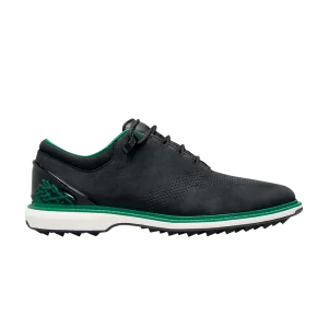 Air Jordan Eastside Golf x Jordan ADG 4 '1961' Black/Malachite/Metallic Gold FJ0850 001