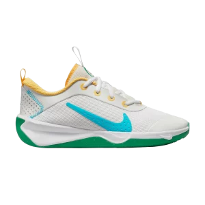 Nike Omni Multi-Court GS 'Spring Colors' White/White/Stadium Green/Baltic Blue FJ7719 141