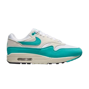 Nike Wmns Air Max 1 'Dusty Cactus' Sneakers White/Dusty Cactus/Ghost/Coconut Milk DZ2628 107