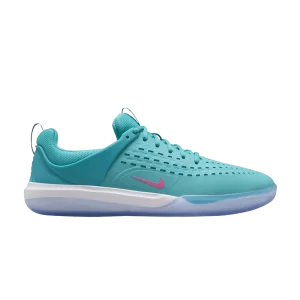 Nike Zoom Nyjah 3 SB 'Dusty Cactus' Dusty Cactus/Dusty Cactus/White/Pinksicle DV7896 302