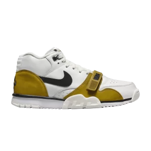 Nike Air Trainer 1 'Bronzine' White/Black/Bronzin/Summit White FQ8225 100