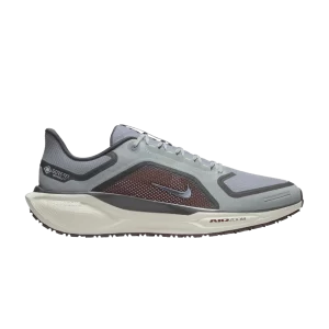 Nike Air Zoom Pegasus 41 GORE-TEX 'Light Pumice Burgundy Crush' Light Pumice/Burgundy Crash/Dark Smoke Grey/Ash Slate FQ1356 003