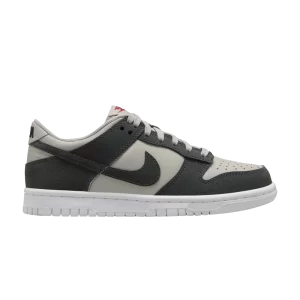 Nike Dunk Low GS 'Light Iron Ore Anthracite Glitter' Light Iron Ore/White/Red/Anthracite FZ1000 001