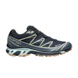 Salomon XT-6 GORE-TEX 'Carbon Desert Sage' Sneakers Carbon/Bering Sea/Desert Sage L47291800