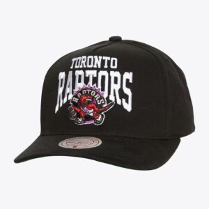 Mitchell & Ness Black Toronto Raptors Hardwood Classics Big Time Pro Snapback Hat Black 1589656