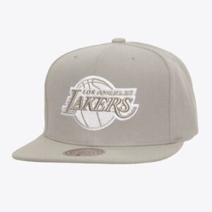 Baseball Cap Mitchell & Ness Gray Los Angeles Lakers Team Logo Snapback Hat Grey 1589755