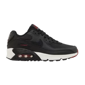 Nike Air Max 90 Leather GS 'Anthracite Team Red' Anthracite/Team Red/Summit White/Black CD6864 022