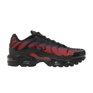 Nike Air Max Plus GS 'Bred Gradient' University Red/Black FB8024 600