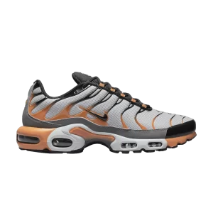 Nike Air Max Plus 'Wolf Gray Hot Curry' Wolf Grey/Black/Cool Grey/Spicy Curry DM0032 001