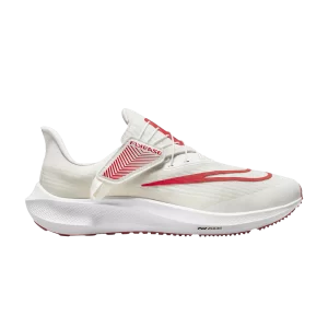 Nike Air Zoom Pegasus 39 FlyEase 'White Light Crimson' Platinum/White/Adobe/Light Raspberry DJ7381 003