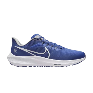 Nike Air Zoom Pegasus 39 'Kentucky' Team Royal/Team Royal/Team Pewter/White DR1963 400