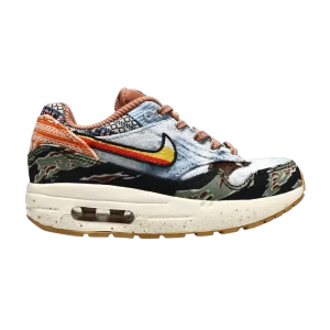 Nike Concepts x Air Max 1 SP PS 'Heavy' Multicolor/Wild Violet/Multicolor/Sail DR2362 700