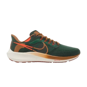 Nike Hola Lou x Air Zoom Pegasus 39 'A.I.R.' Gulch Green/Team Orange/Ghost/Brown Ale DO9500 300