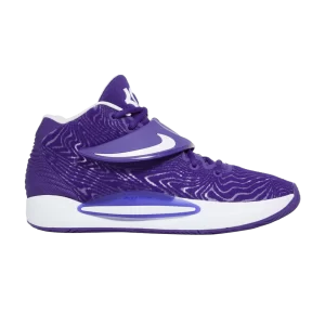 Nike KD 14 TB 'Court Purple' Sneakers Court Purple/Black/White DA7850 500