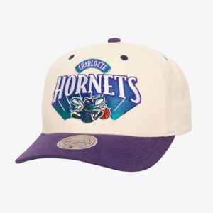 Mitchell & Ness Cream Charlotte Hornets Hardwood Classics Horizon Pro Crown Snapback Hat Cream 1592216