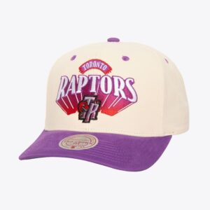 Mitchell & Ness Cream Toronto Raptors Hardwood Classics Horizon Pro Crown Snapback Hat Cream 1592220