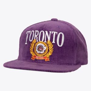 Mitchell & Ness Purple Toronto Raptors Hardwood Classics Levelz Snapback Hat Violet 1593396