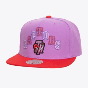 Mitchell & Ness Purple Toronto Raptors Hardwood Classics Uprise Snapback Hat Violet 1592534