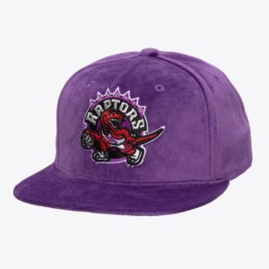 Mitchell & Ness Purple Toronto Raptors Hardwood Classics Velor Snapback Hat Violet 1592539